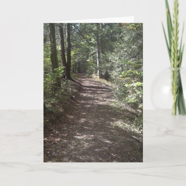 Cartão De Festividades Trilha de Verão (Frente)