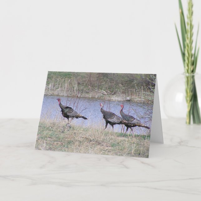 Cartão De Festividades Trio de Turquia pela água (Frente)