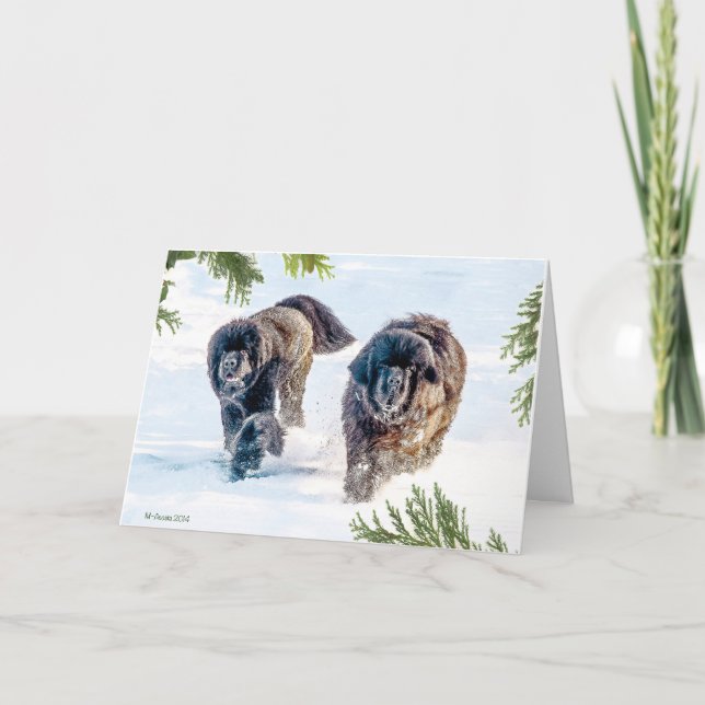 Cartão De Festividades Trovão no ano novo! (Frente)