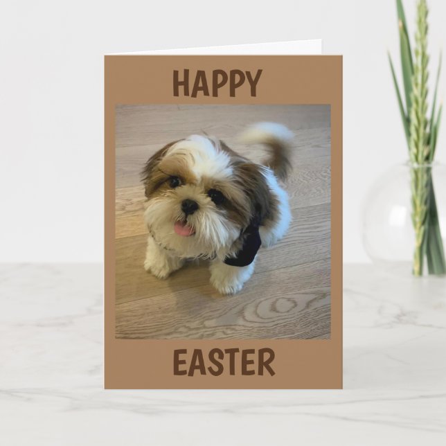 CARTÃO DE FESTIVIDADES TUDO ISSO "TRAZ-TE ALEGRIA" ESTA PÁSCOA (Frente)