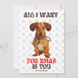 Cartão De Festividades Tudo que Quero no Natal Laço Divertido para Doxie 