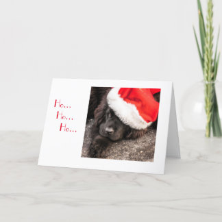 Cartão De Festividades Tudo vestido para o Natal