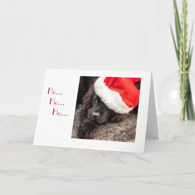 Cartão De Festividades Tudo vestido para o Natal (Frente)