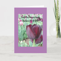 Tulip Elogia Canções do Sunrise