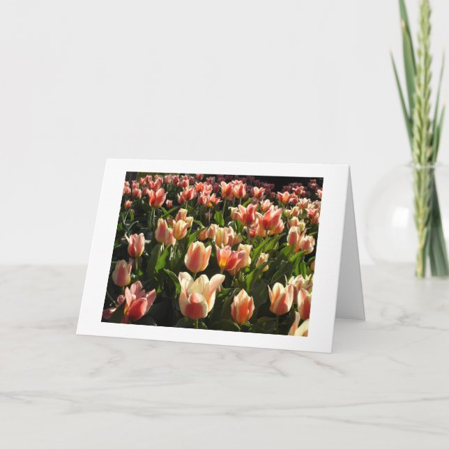 Cartão De Festividades tulipas abundante (Frente)