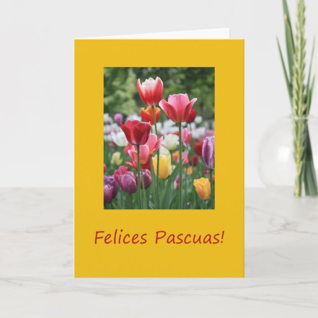 Cartão De Festividades Tulipas de Páscoa Espanhola (Frente)