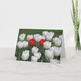 Cartão De Festividades Tulipas dos namorados