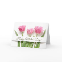 Tulipas Rosa Dia das Mães