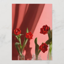Tulipas Vermelhas “Sê Meu Namorado?” Valentim Mini