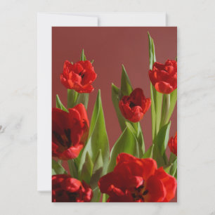 Cartão De Festividades Tulipas Vermelhas “Seja Meu Namorado?” Valentim Mi
