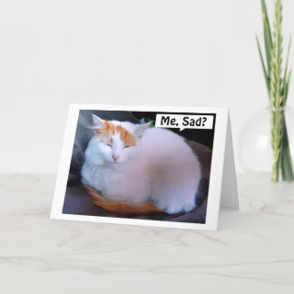 CARTÃO DE FESTIVIDADES TURCO VAN CAT É TÃO TRISTE =MISS U NO NATAL
