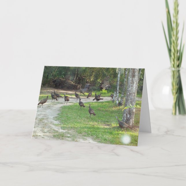 Cartão De Festividades Turquia selvagem (Frente)