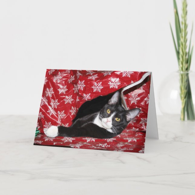 Cartão De Festividades Tuxedo Cat Natal (Frente)