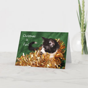Cartão De Festividades Tuxedo kitten Natal