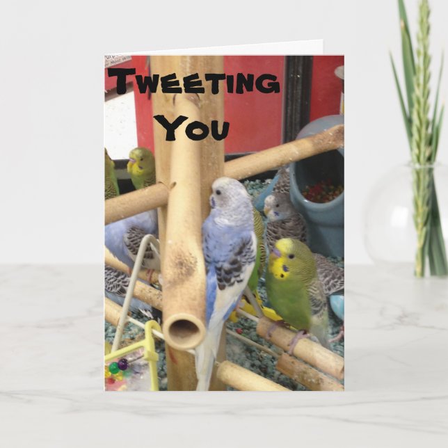 CARTÃO DE FESTIVIDADES "TWEETING" PARA DIZER TER UMA FELZ PASCOA (Frente)