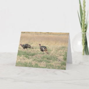 Cartão De Festividades Two Gobblers