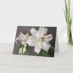 Cartão De Festividades Two White Lilies Card