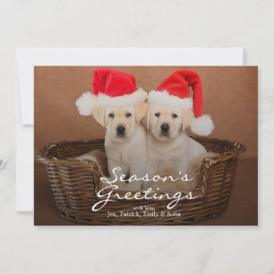 Cartão De Festividades Two Yellow Lab Christmas Puppies