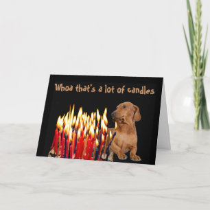 Cartão De Festividades Uau, isso é um monte de velas de Dashund Dog Dive