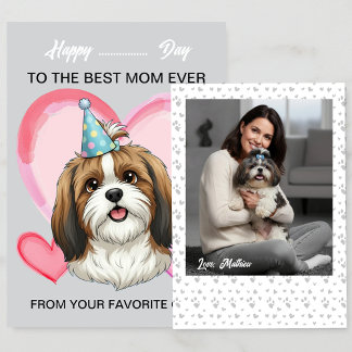 Cartão De Festividades Um adorável Shih Tzu em uma ocasião especial para