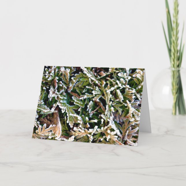 Cartão De Festividades Um ano novo uma possibilidade nova. Faça-a contar! (Frente)