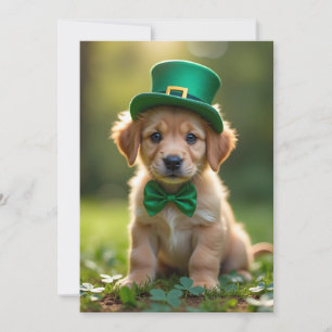 Cartão De Festividades Um cachorrinho bonito com Rua, roupa do Patrick, c