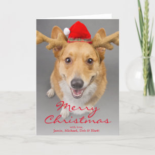 Cartão De Festividades Um cão vermelho e branco do Corgi de Galês do