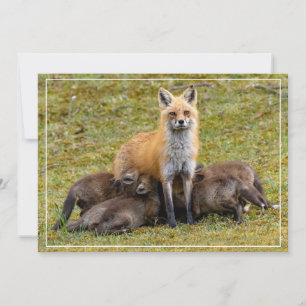 Cartão De Festividades Um dia de Mãe