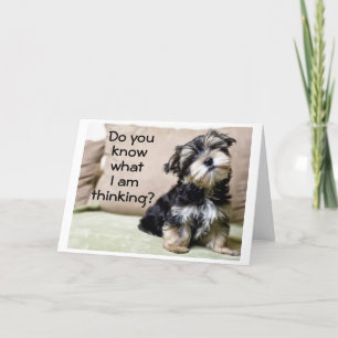 CARTÃO DE FESTIVIDADES "UM NATAL FANTÁSTICO PARA VOCÊ" COISA MAIS IMPORTA