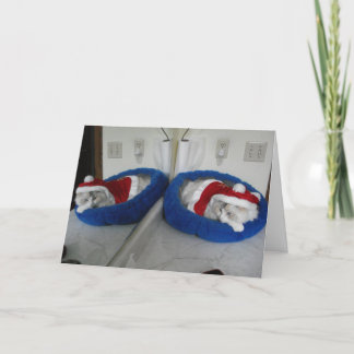 Cartão De Festividades Um Natal Muito Útil