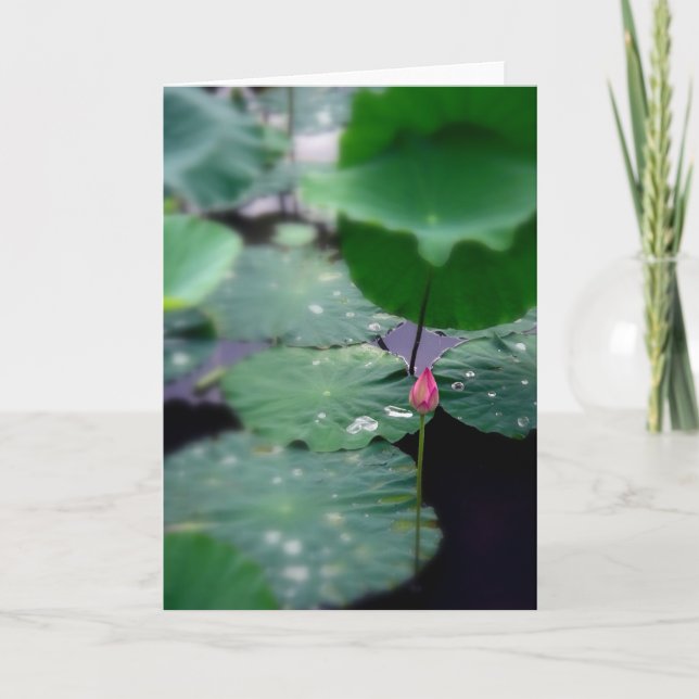 Cartão De Festividades Um novo amanhecer (Frente)