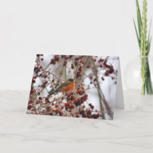 Cartão De Festividades Um Robin Saudando A Época De Inverno