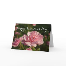 Um rosa para um feliz dia de os namorados rosa