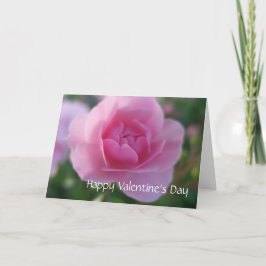 Cartão De Festividades Um rosa para um feliz dia de os namorados rosa