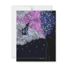 Uma noite de verão com Sirius