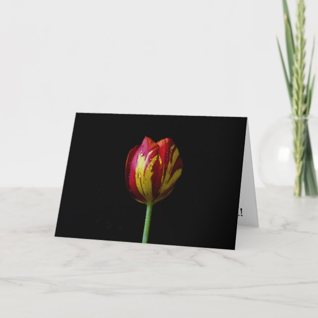 Cartão De Festividades Uma Tulip - Placa (Frente)