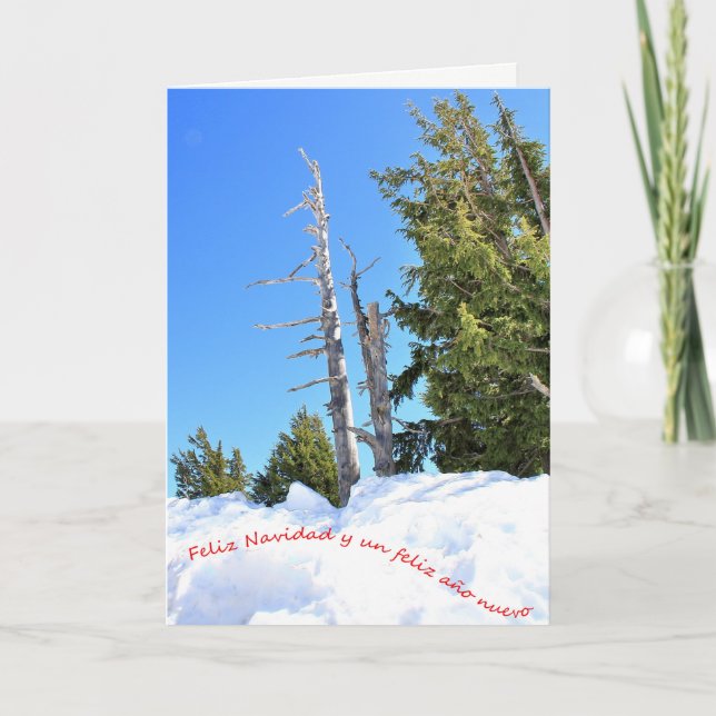 Cartão De Festividades Una escena de invierno para la Navidad. Espanhol.  (Frente)