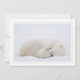Cartão De Festividades Urso Polar Dormindo