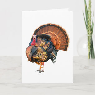 Cartão De Festividades Vá Coisas