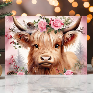 Cartão De Festividades Vaca das Terras Altas com Rosas Cor-de-Rosa Natal 
