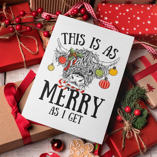Cartão De Festividades Vaca Engraçada nas Terras do Natal (funny highland cow christmas card)