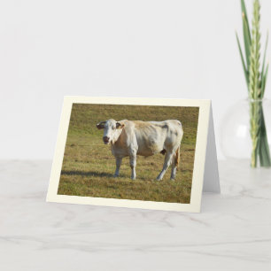 Cartão De Festividades Vaca loira Aquitaine
