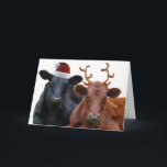 Cartão De Festividades Vacas do Natal no papai noel chapéu e Antlers<br><div class="desc">Este casal da vaca de leiteria é vestido toda acima para a época natalícia, e apronta-se para puxar o trenó do papai noel na Noite de Natal! Um boi preto que vestem um chapéu vermelho do papai noel, e uma vaca de cor castanha, vestindo um par de antlers do felpudo...</div>