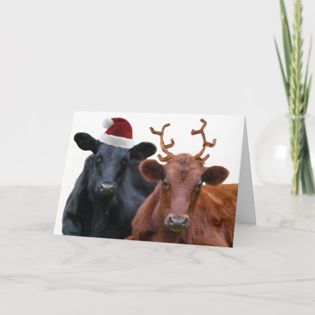 Cartão De Festividades Vacas do Natal no papai noel chapéu e Antlers (Frente)
