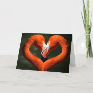 Cartão De Festividades Valentine greeting card