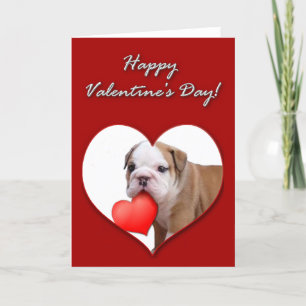 Cartão De Festividades Valentine's bulldog puppy Card