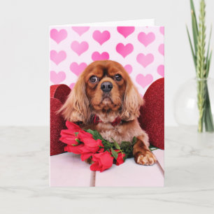 Cartão De Festividades Valentines - Cavalier - Cooper