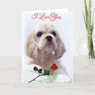 Cartão De Festividades Valentines Day card