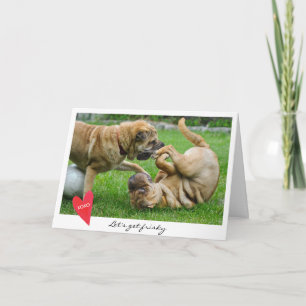Cartão De Festividades Valentine's Day Let's Get Frisky Dog Photo