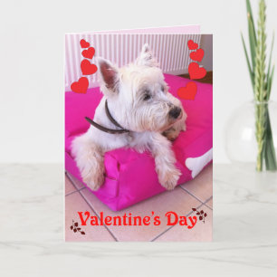 Cartão De Festividades Valentine's Day Westie Card